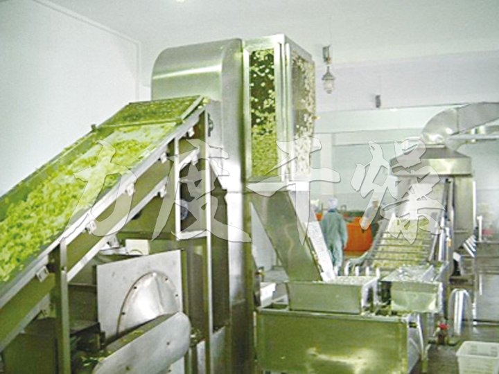 脫水蔬菜專用帶式干燥機(jī)