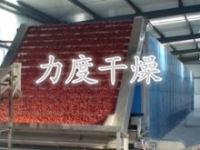 紅棗帶式干燥機(jī) 紅棗帶式干燥機(jī)